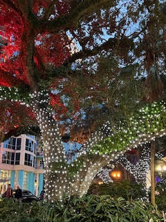 Xmas 2022 in Orlando