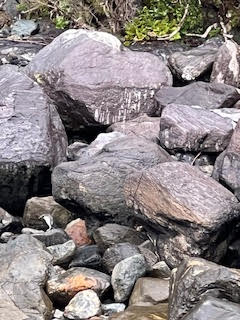 Theodora visits the Penguins in Milford Sound New Zealand