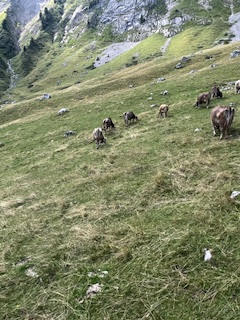 Theodora climbing Pilatus mountain in Switzerland