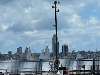 Theodora is in Auckland New Zealand