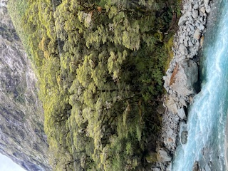 Theodora visits the Glaciers in New Zealand and meets “KIWI” the National Bird