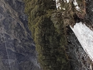 Theodora visits the Glaciers in New Zealand and meets “KIWI” the National Bird