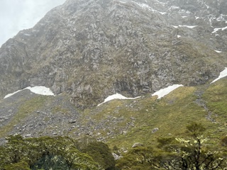 Theodora visits the Glaciers in New Zealand and meets “KIWI” the National Bird