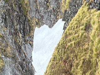 Theodora visits the Glaciers in New Zealand and meets “KIWI” the National Bird