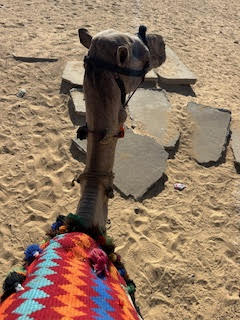 Theodora in Cairo Egypt
