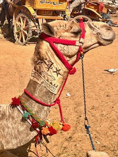 Theodora in Cairo Egypt