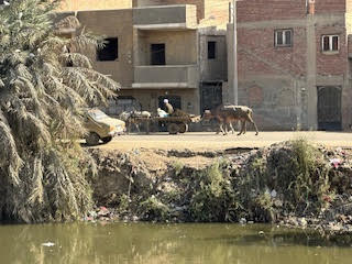 Theodora in Cairo Egypt