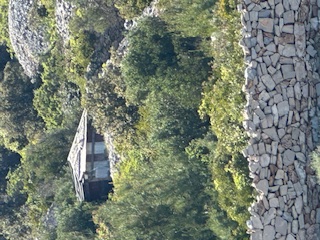 Theodora in Sibenic Croatie