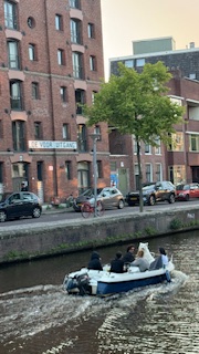 Theodora in Groningen the Netherlands